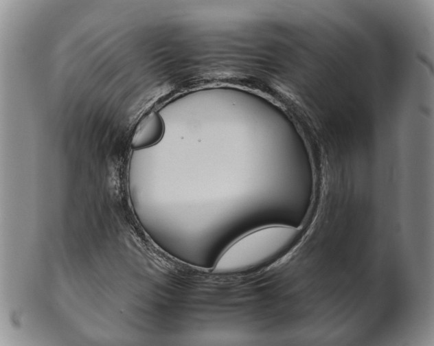 X0000102511305200808080958