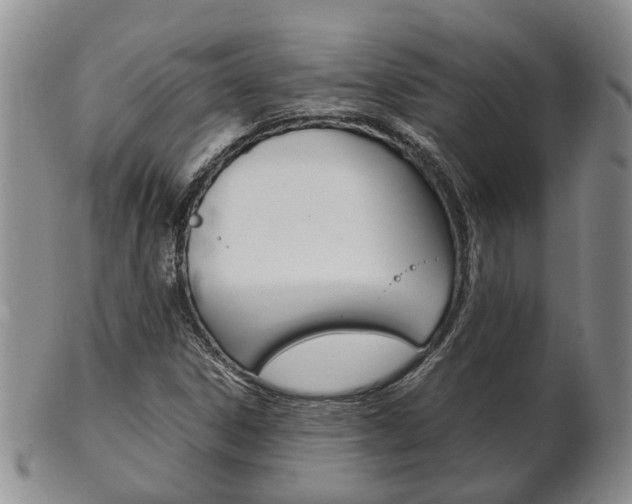X0000102511306200808080958