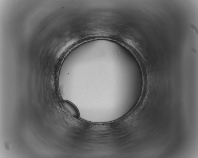 X0000102511307200808080958