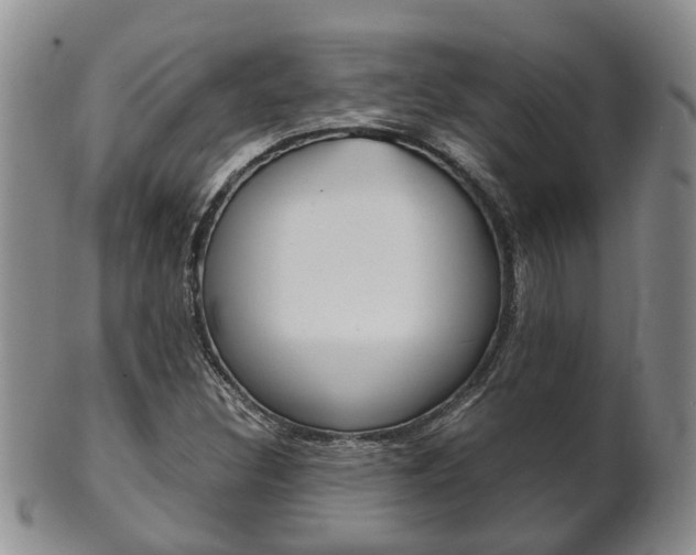 X0000102511308200808080958