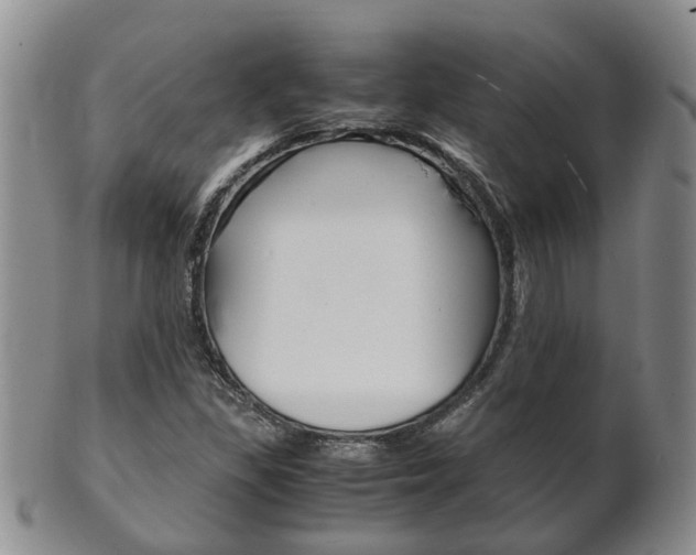 X0000102511309200808080958