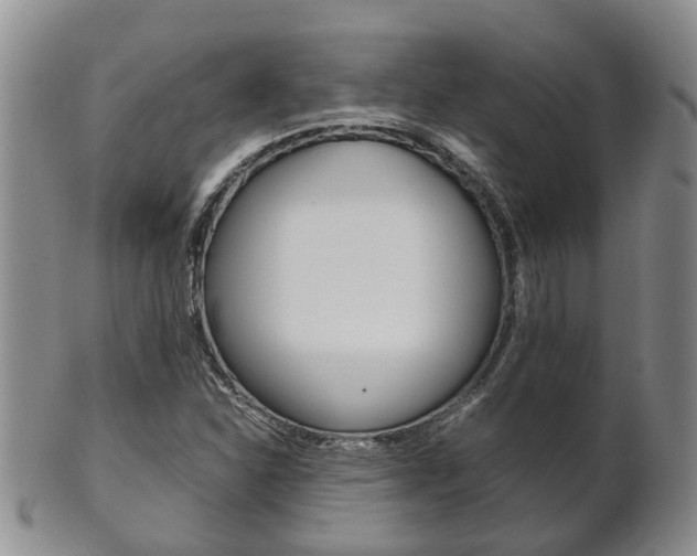 X0000102511310200808080958