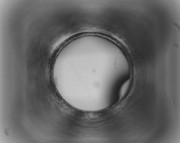 X0000102511311200808080958