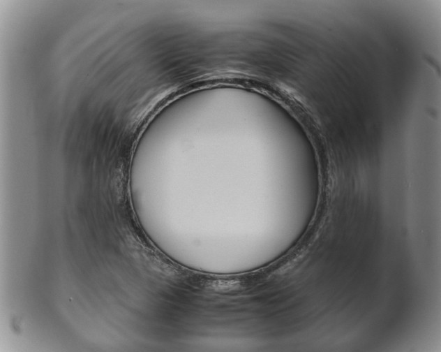 X0000102511313200808080958