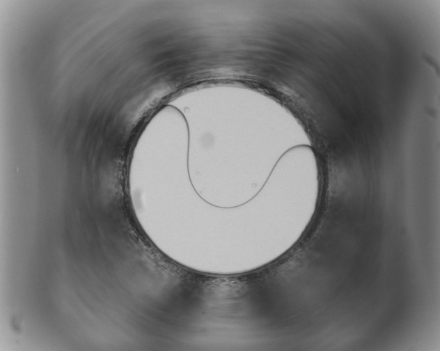 X0000102511314200808080958
