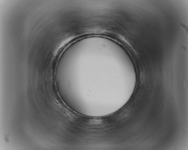 X0000102511315200808080958