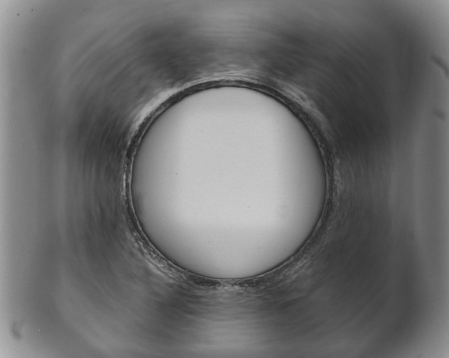 X0000102511316200808080958
