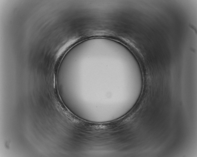 X0000102511317200808080958
