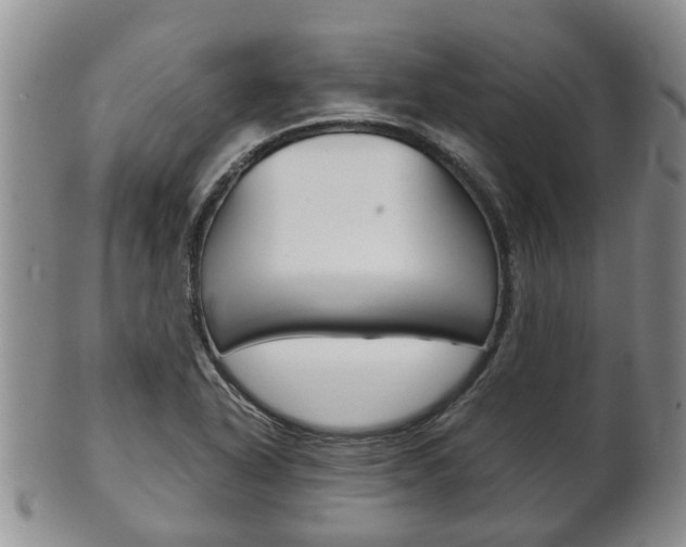 X0000102511318200808080958