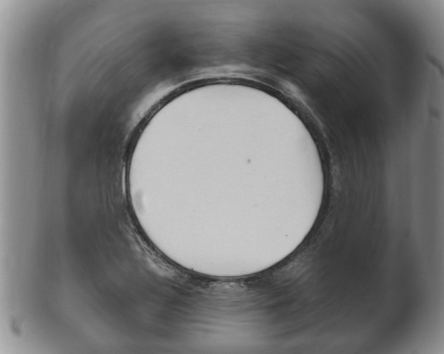 X0000102511320200808080958