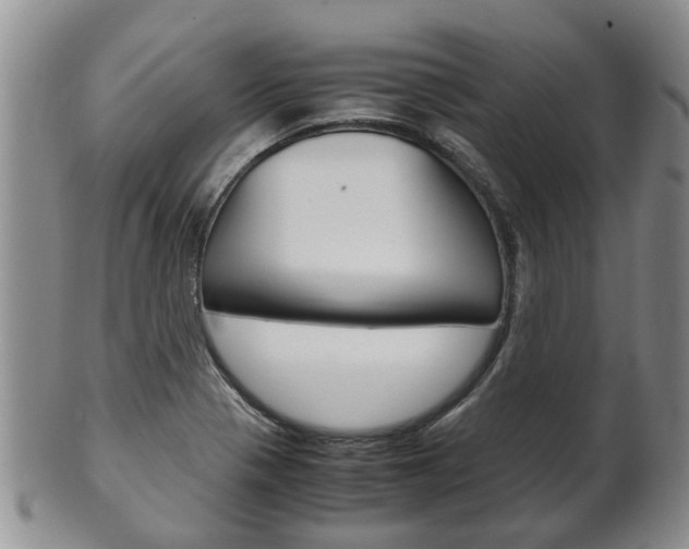X0000102511321200808080958