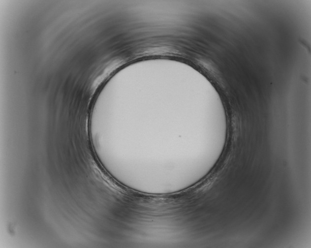 X0000102511322200808080958
