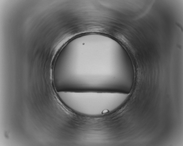 X0000102511324200808080958