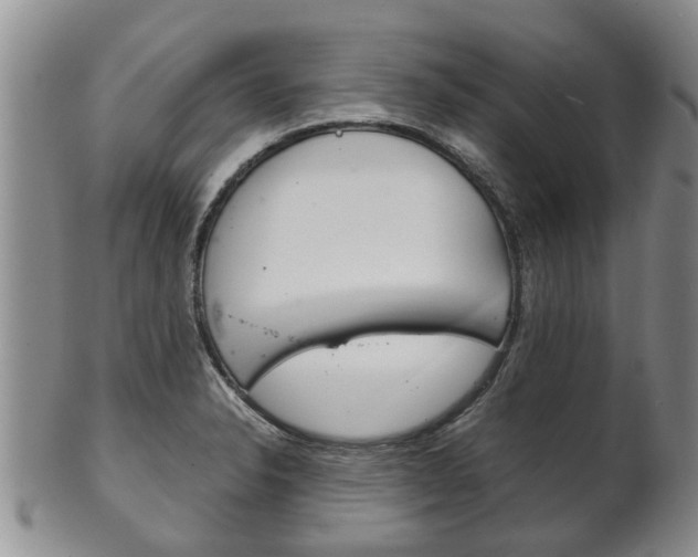 X0000102511326200808080958