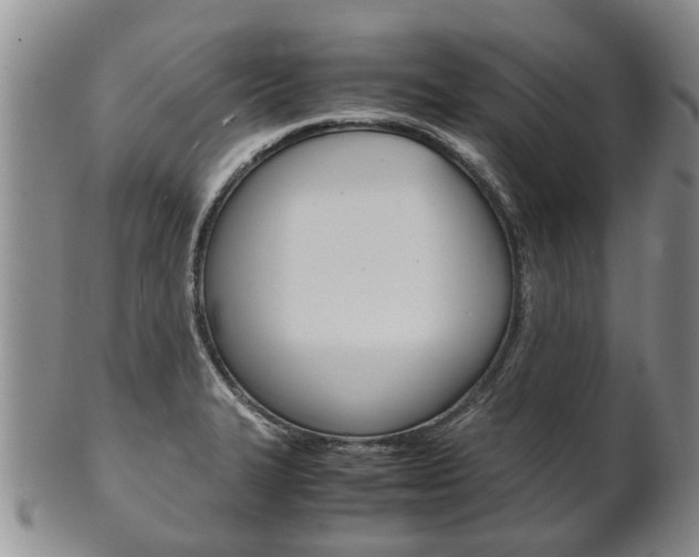 X0000102511327200808080958
