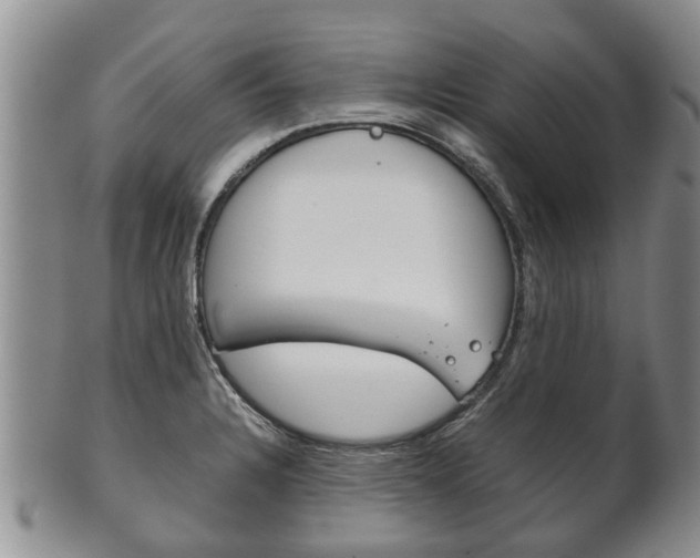 X0000102511328200808080958