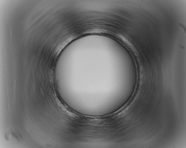 X0000102511329200808080958