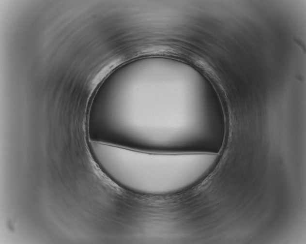 X0000102511330200808080958