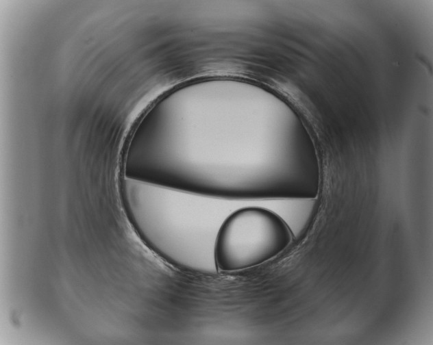 X0000102511331200808080958