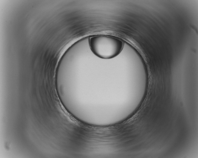 X0000102511332200808080958