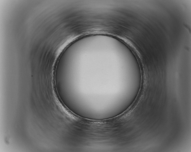 X0000102511333200808080958