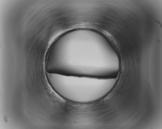 X0000102511334200808080958