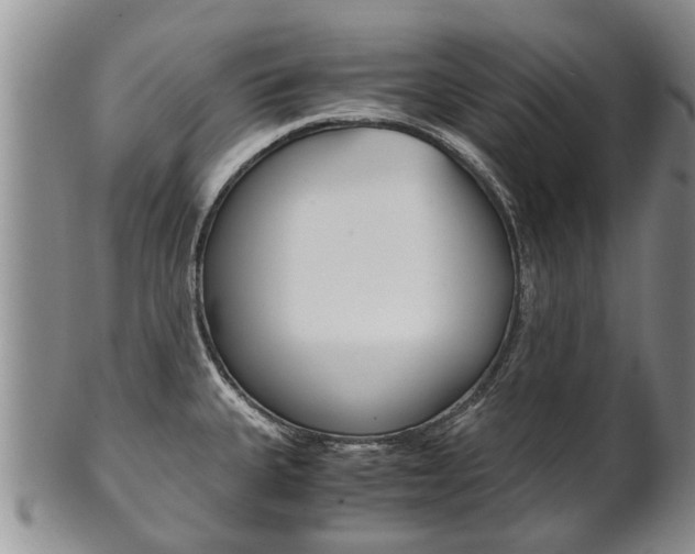 X0000102511335200808080958