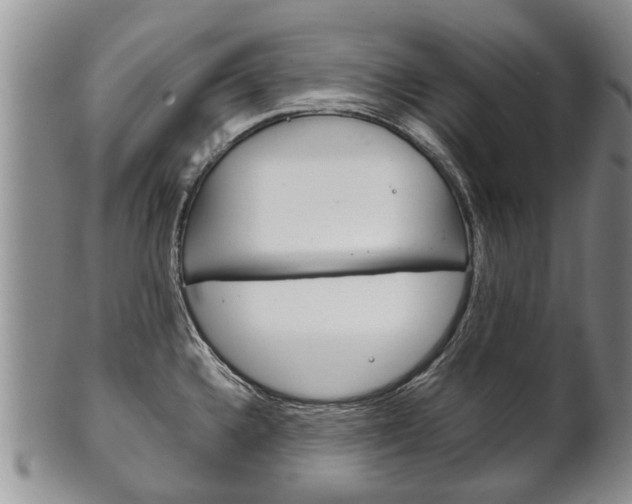 X0000102511336200808080958