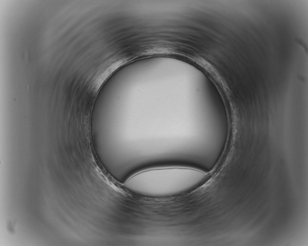 X0000102511337200808080958