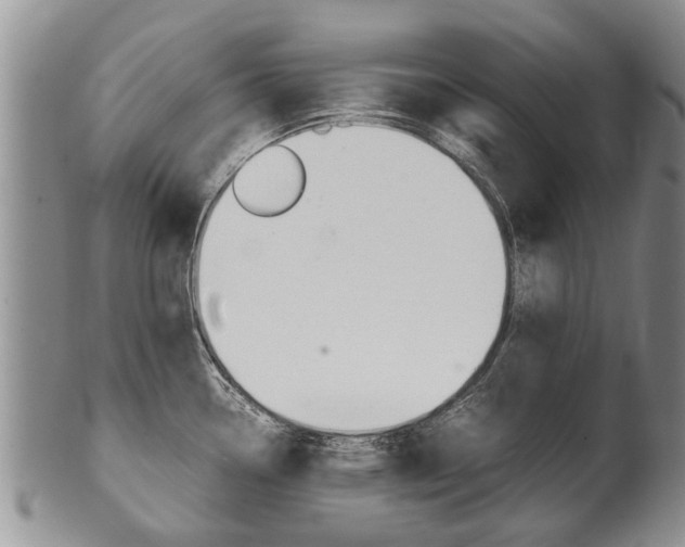 X0000102511338200808080958