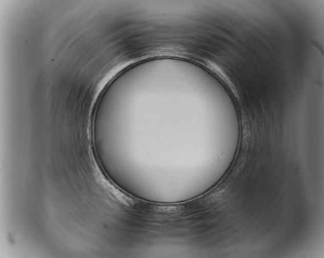 X0000102511339200808080958