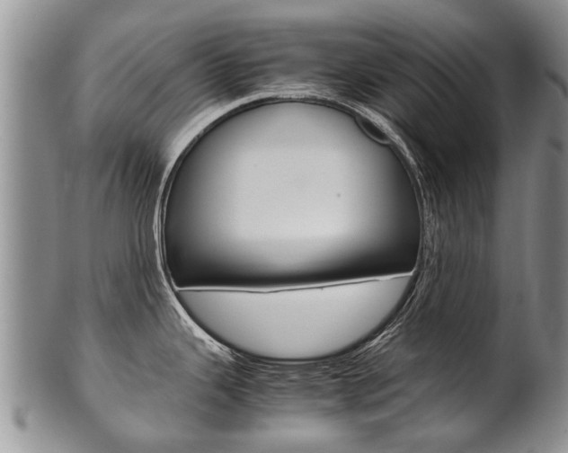 X0000102511343200808080958