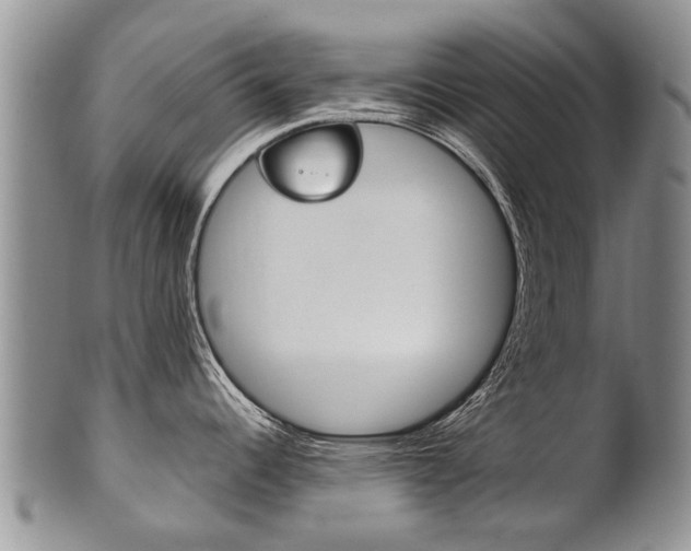 X0000102511344200808080958