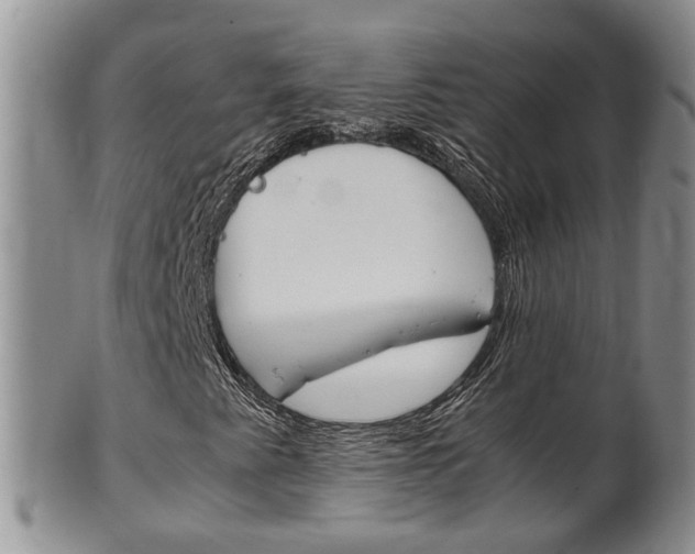 X0000102511345200808080958