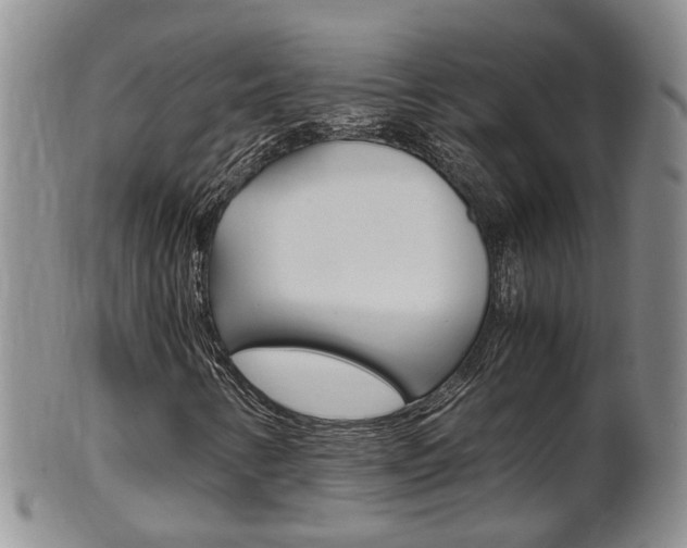 X0000102511346200808080958