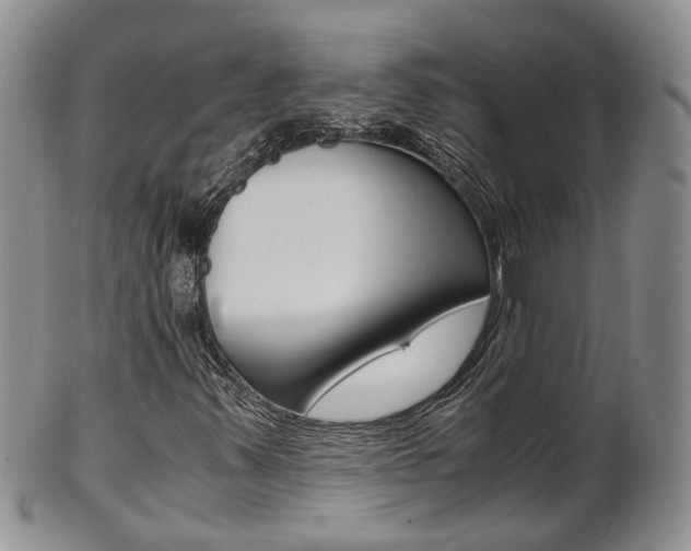 X0000102511347200808080958