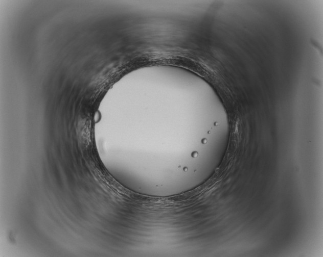 X0000102511348200808080958