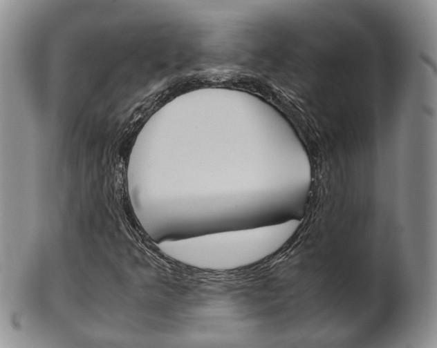 X0000102511349200808080958