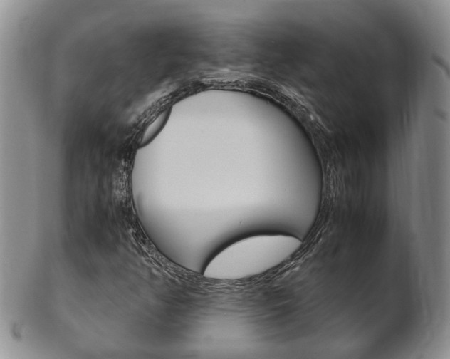 X0000102511350200808080958