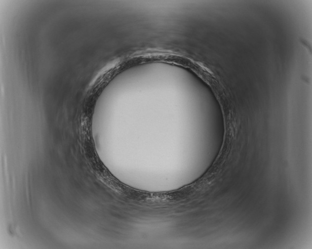 X0000102511351200808080958