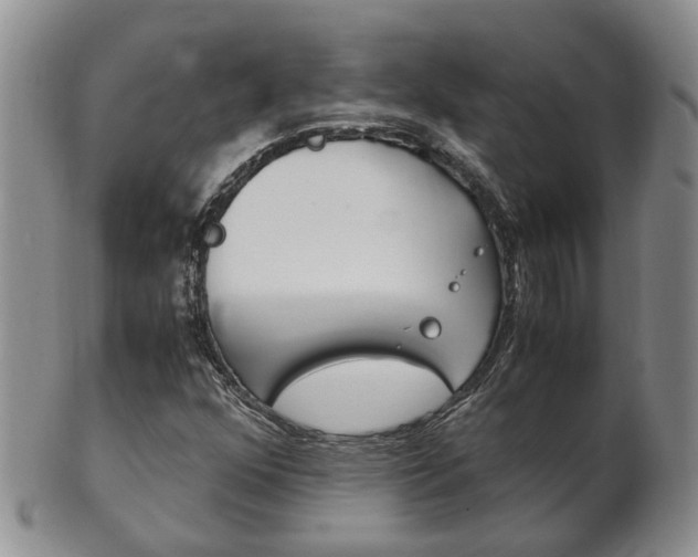 X0000102511352200808080957