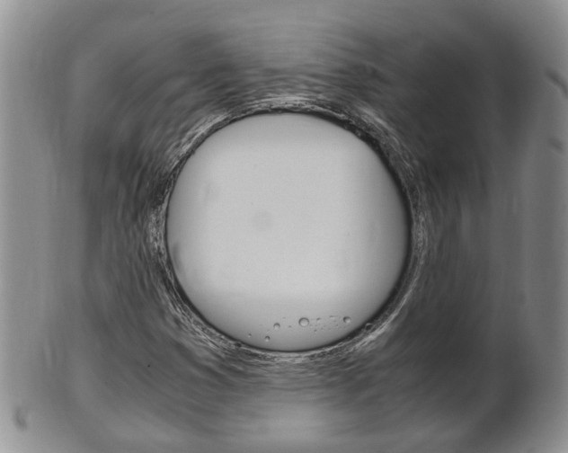X0000102511353200808080957
