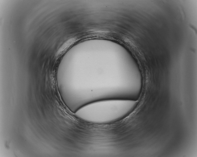 X0000102511354200808080957