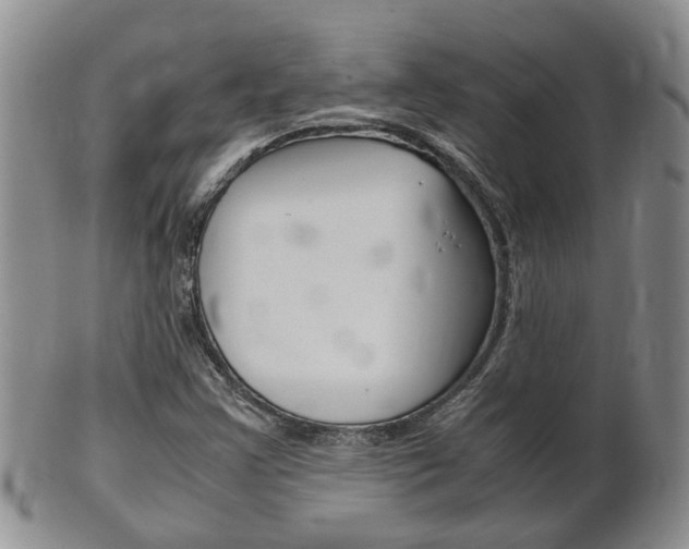 X0000102511355200808080957
