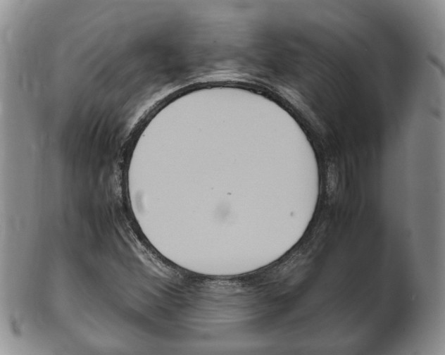 X0000102511356200808080957