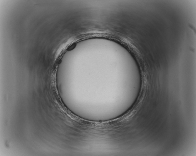 X0000102511357200808080957