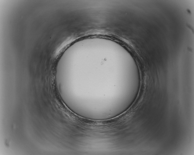X0000102511359200808080957