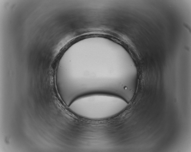 X0000102511360200808080957