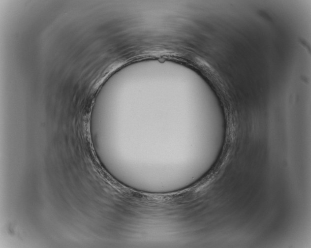 X0000102511361200808080957