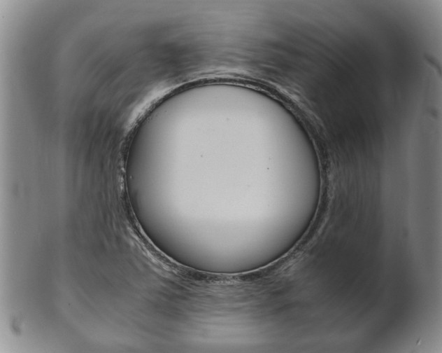 X0000102511363200808080957